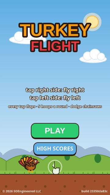 Turkey Flight screenshot 1